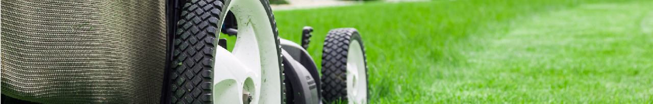 Lawn Equipment