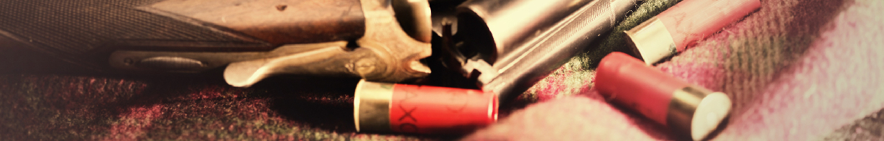 Shotgun Shells