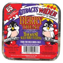 C&S Berry Treat Suet