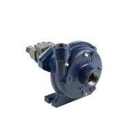 Delavan Pump, Cent, 1-/14 IN, Ci, Ny Imp, Vit/Cer, Pm37, 7-10 Gpm, M125C-PM37