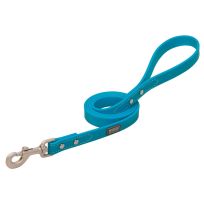 Terrain D.O.G. Brahma Webb Dog Leash, 07640-12-04-26, Hurricane Blue, 3/4 IN x 4 FT