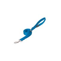 Terrain D.O.G. Nylon Single-Ply Dog Leash, 07633-16-04-02, Blue, 1 IN x 4 FT