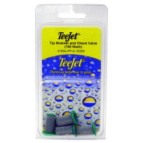 Teejet Tip Strainer and Check Valve, 4193A-PP-5-100SS, 4-Pack, 7771536