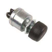 Calco Push Button Switch, C63085