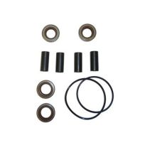 Delavan Universal 4 Roller Delavan and Hypro Pump Repair Kit, 44-4000RK