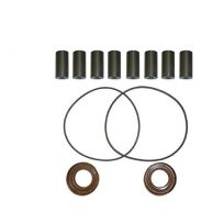 Delavan Universal 8 Roller Delavan and Hypro Pump Repair Kit, 88-7560RK