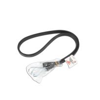 Erickson Rubber Tarp Strap, Black, 56730, 44 IN