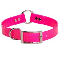Mendota Pet Safety Collar, 64418, Pink, 1 IN x 18 IN