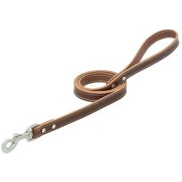 Terrain D.O.G. Bridle Leather Dog Leash, 06-2014-4, Brown, 3/4 IN x 4 FT