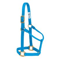 Weaver Equine Original Non-Adjustable Nylon Horse Halter, 35-7004-HB, Hurricane Blue, Small