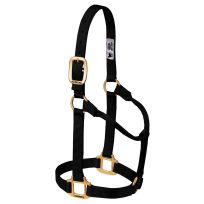 Weaver Equine Original Non-Adjustable Nylon Horse Halter, 35-7005-BK, Black, Average