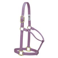 Weaver Equine Original Non-Adjustable Nylon Horse Halter, 35-7005-LV, Lavender, Average