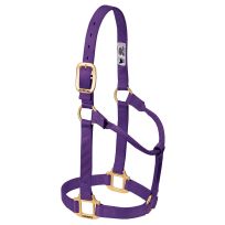 Weaver Equine Original Non-Adjustable Nylon Horse Halter, 35-7005-PU, Purple, Average