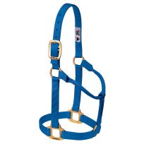 Weaver Equine Original Non-Adjustable Nylon Horse Halter, 35-7006-BL, Blue, Large