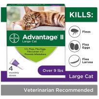 Advantage II Flea Prevention and Treatment for Large Cats, Over 9 lbs, 4-Doses, 9202246
