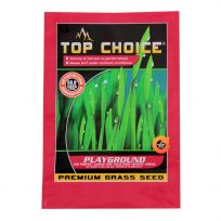 Top Choice Playground, 4400090, 3 LB