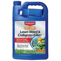 BioAdvanced All In One Lawn Weed & Crabgrass Killer, Concentrate, ZZBY704190S, 1 Gallon