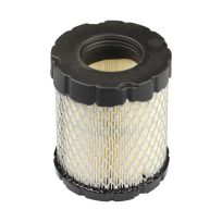 Briggs And Stratton Air Filter, 798897