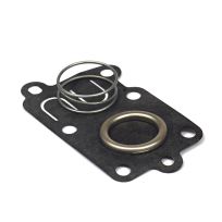 Briggs And Stratton Diaphragm Kit (DIY Packaged Version of 272538S), 5021K