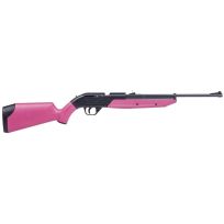 Crosman Pumpmaster Bolt Action, Variable Pump Air Rifle, 760P