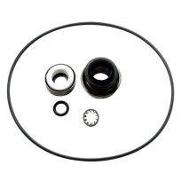 Ace Pump Seal Assembly Kit, Viton/Carbon/Ceramic, BAC-7V