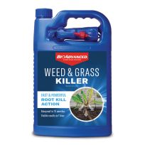 BioAdvanced Weed & Grass Killer RTU, 704198A, 1 Gallon
