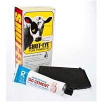 American Animal Health Shut Eye Patch, Regular with Glue, 10S, 17420031