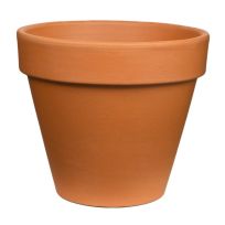 Pennington Terra Cotta Standard Pot, 8.3 IN, 0121MZ