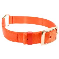 Scott Pet Dog Collar with Reflexite, 1654OR14, Orange, 1 IN x 14 IN